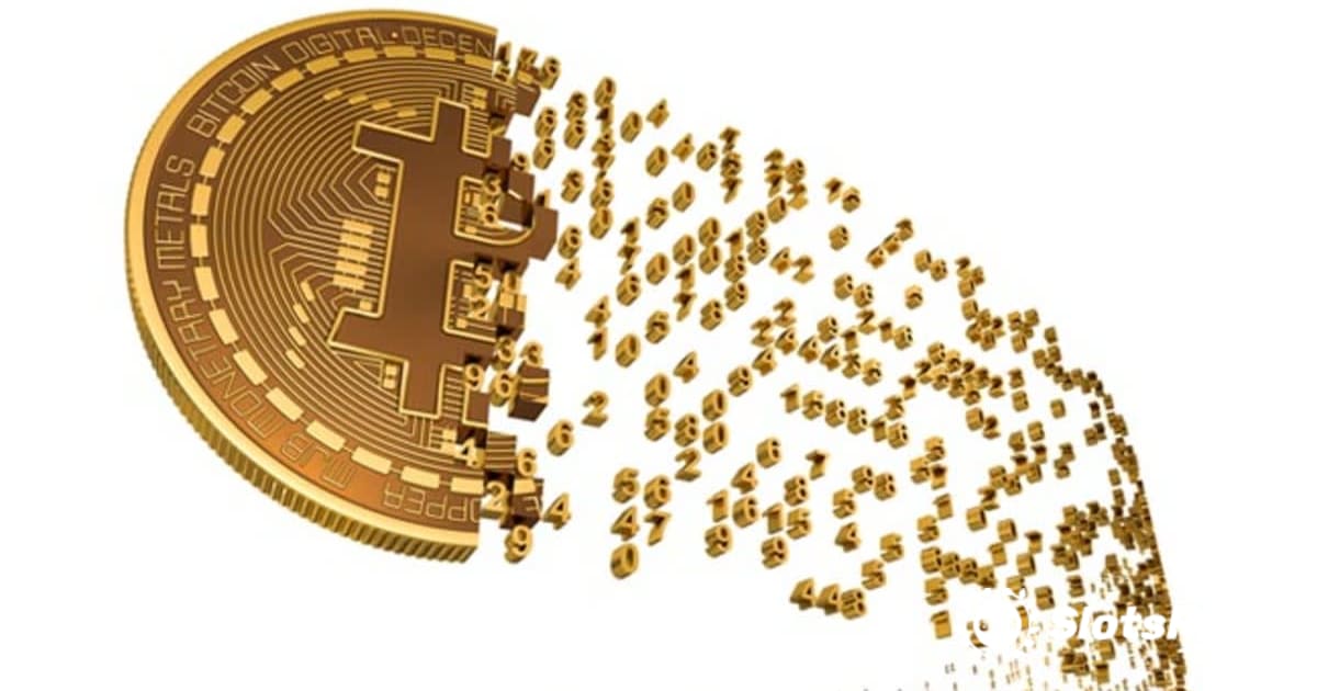 Amanti dei bitcoin, guarda qui!